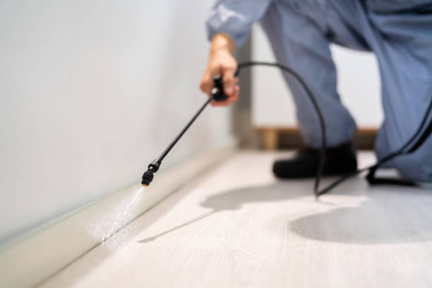 Licensed Pest Control service in Little River-Academy, TX - Show Me Pest Control
