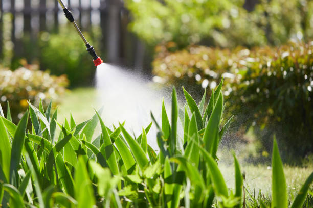 Tamper-Resistant Bait Stations for Rodents in Little River-Academy