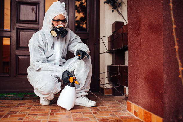 Attic and Crawl Space Rodent Treatment in Little River-Academy